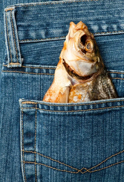 在口袋里的鱼 — 图库照片