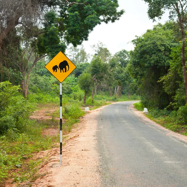 Panneau d'avertissement éléphant — Photo