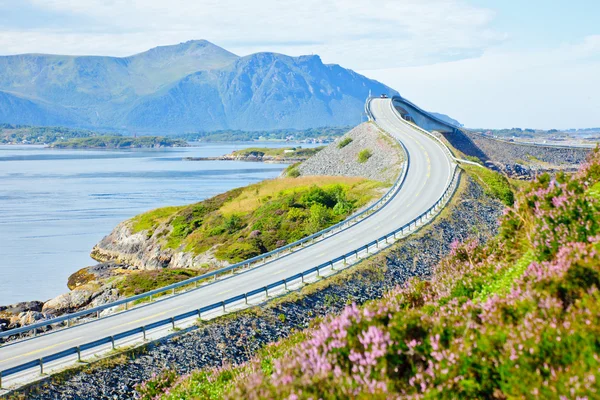 Doğal ocean road — Stok fotoğraf