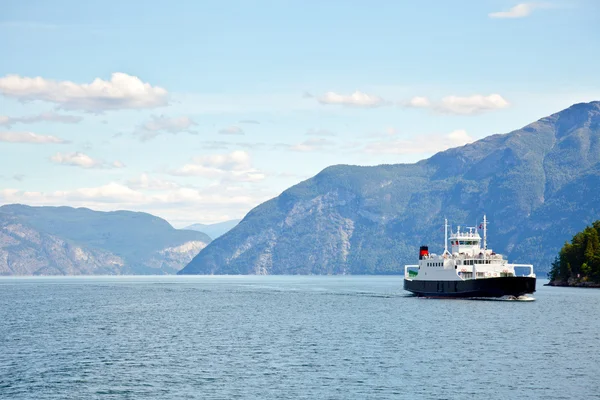 Feffy dans le fjord — Photo