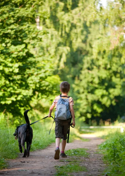 Kid met een hond — Stockfoto