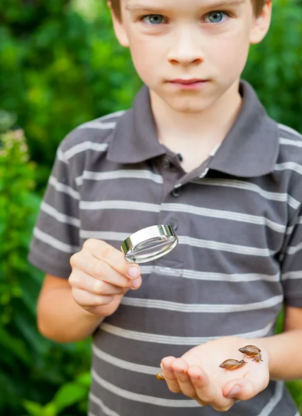 Kid with snails — Stock Photo, Image