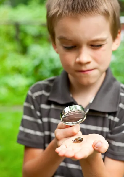 孩子观察蜗牛 — 图库照片
