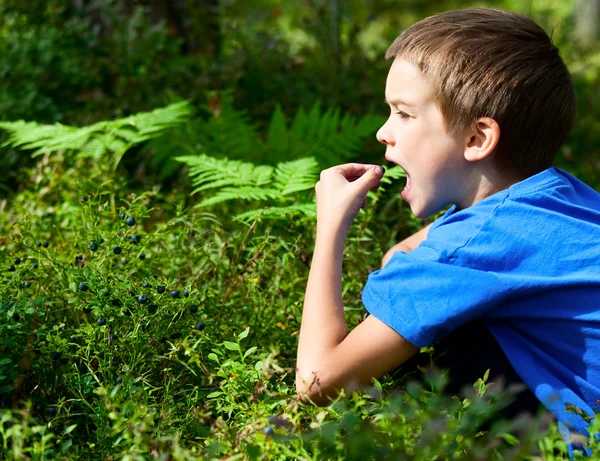 Kid picking berries — Stock Photo, Image