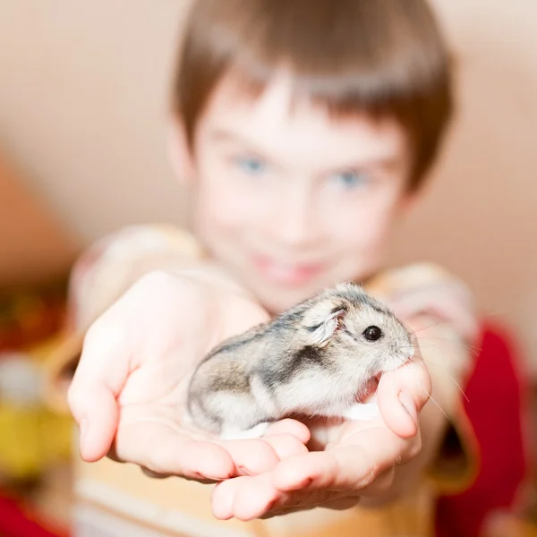 Kid with hamster — Stock Photo, Image