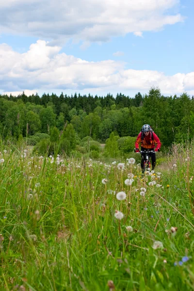 Travelling cyclist — Stock Photo, Image