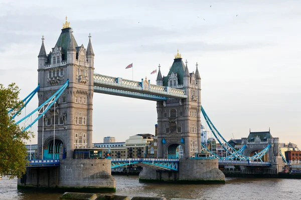 Ponte torre — Foto Stock