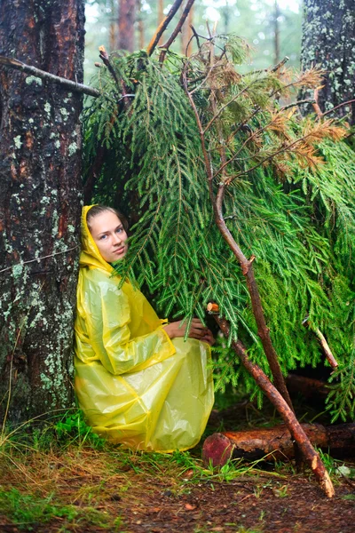 In a shelter of branches — Stock Photo, Image