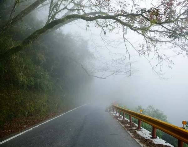 Strada nebbiosa — Foto Stock