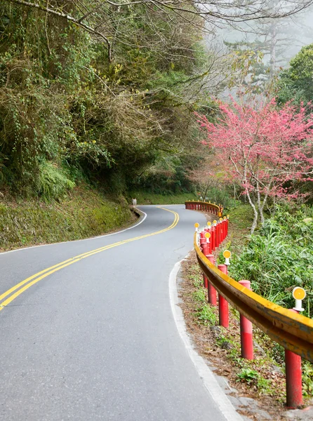 Strada tortuosa — Foto Stock