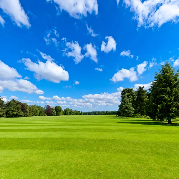 Summer park lawn — Stock Photo, Image