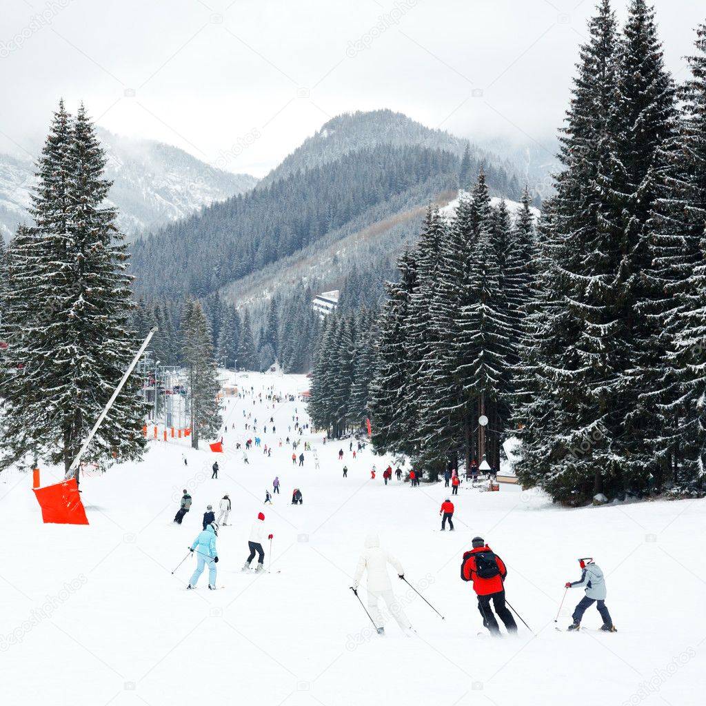 Ski Resort