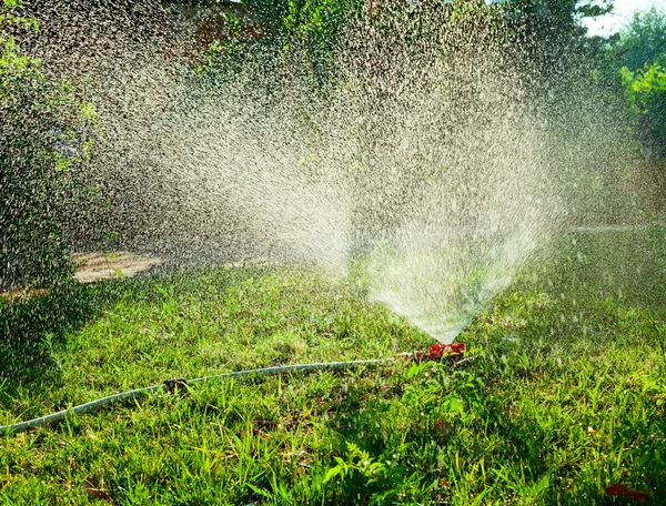 Rasenbewässerung — Stockfoto