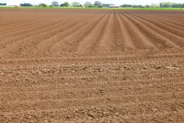 Plowed field — Stock Photo, Image