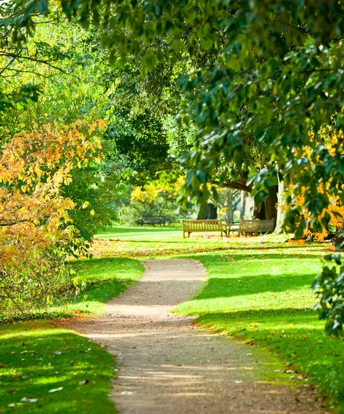 Kew Gardens park – stockfoto