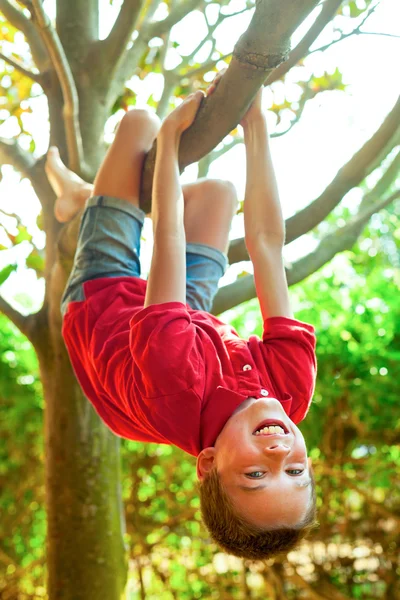 少年は木の枝からぶら下がってぶら下がっています。 — ストック写真