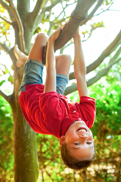 Niño colgando de una rama de árbol — Foto de Stock