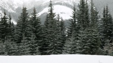 snowboard bir pist üzerinde
