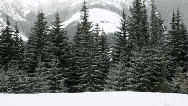 Snowboarders em uma pista — Vídeo de Stock