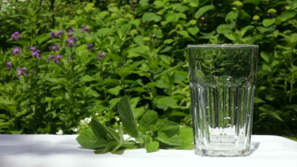 Glas water — Stockvideo