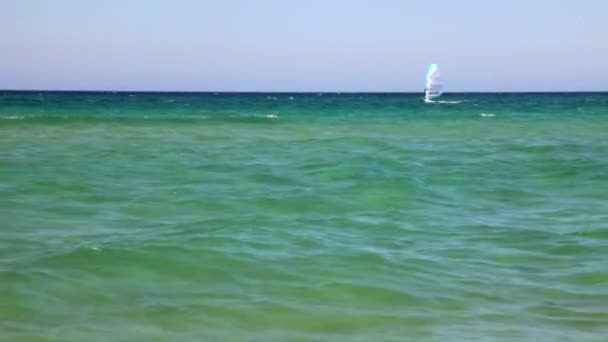 Windsurfing — Wideo stockowe