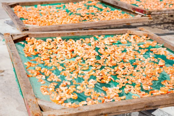 Secado de camarones — Foto de Stock