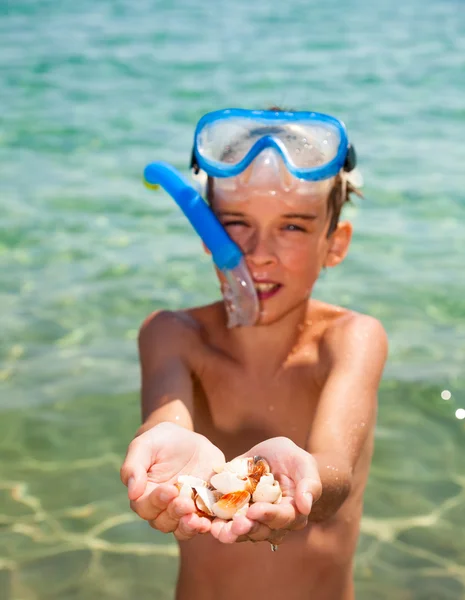 Niño mostrando conchas — Foto de Stock