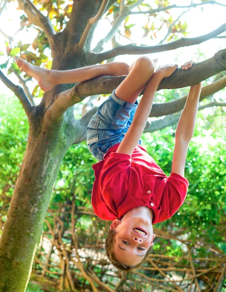 Garçon suspendu à une branche d'arbre — Photo