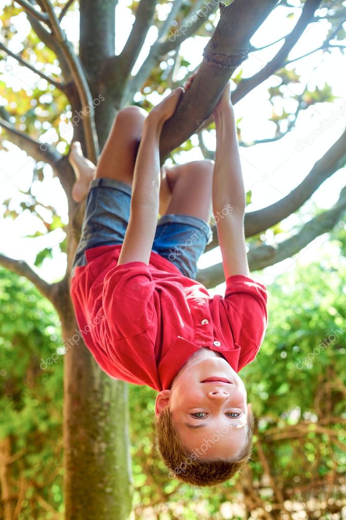 Boy hanging from a tree branch