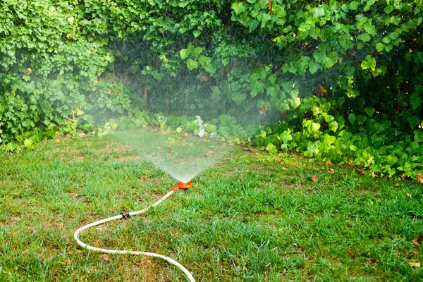 Sprinkler in action — Stock Photo, Image