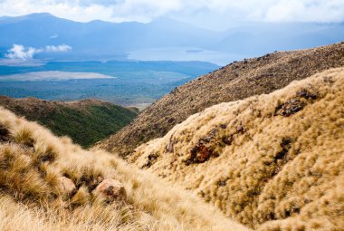 Yeni Zelanda 'daki Tongariro Milli Parkı