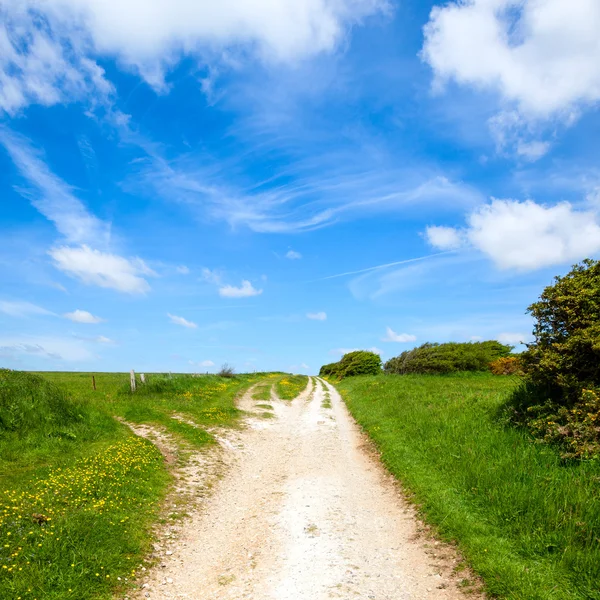 North downs sposób ścieżka — Zdjęcie stockowe