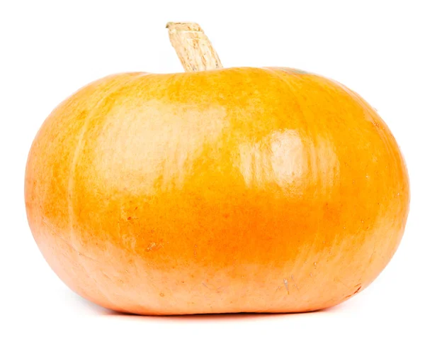 Pumpa isolerade — Stockfoto