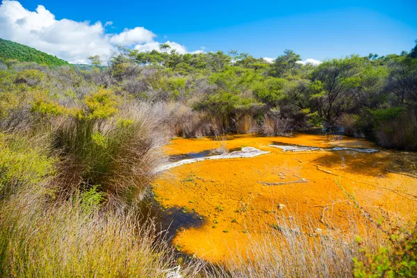 Piscine termali Tokaanu in Nuova Zelanda — Foto Stock