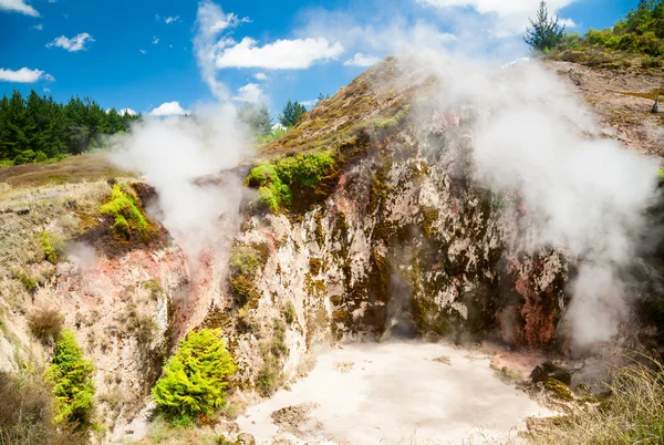 Craters of the Moon in New Zealand — Stock Photo, Image