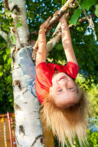 Enfant suspendu à une branche d'arbre — Photo