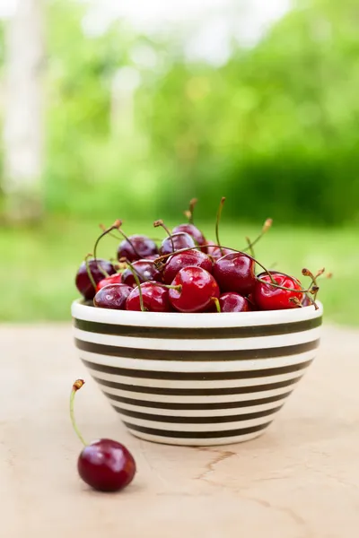 Wild cherry — Stock Photo, Image