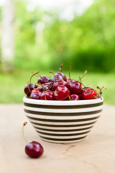 Cereza silvestre — Foto de Stock