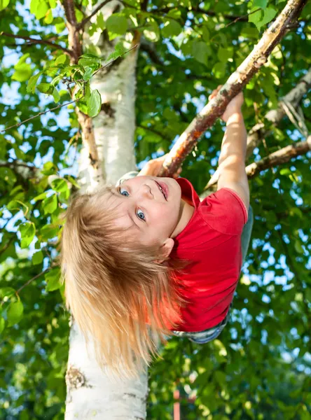 Dítě visící z větve stromu — Stock fotografie