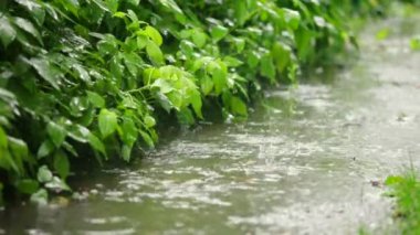 Bir yağmurlu günde Bahçe sokak