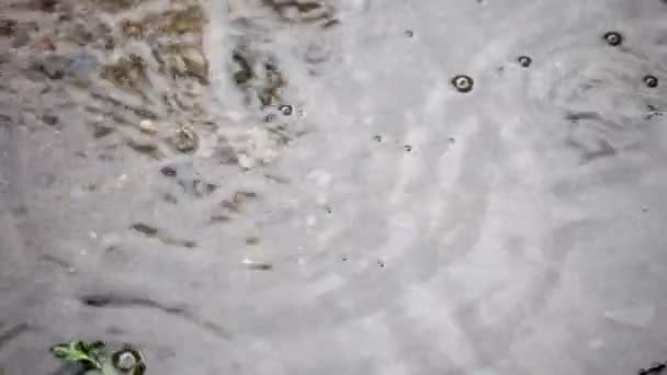 Gotas de lluvia ondulando en un charco — Vídeos de Stock