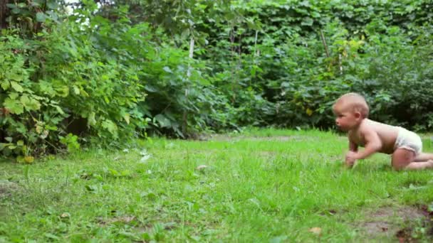 정원에서 크롤 링 하는 아기 — 비디오