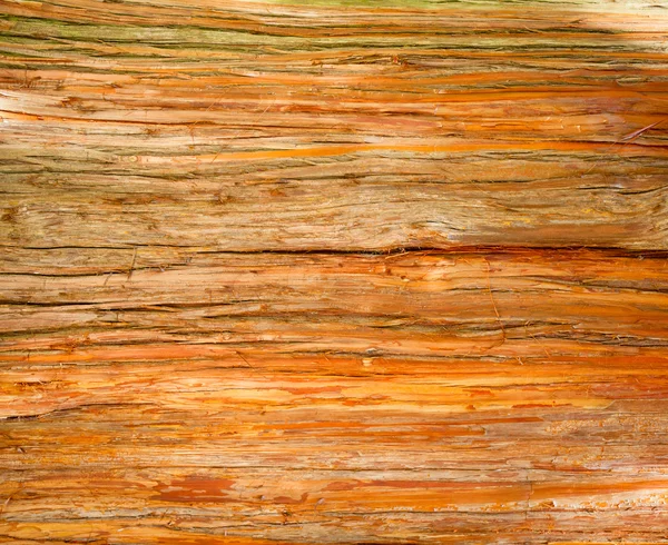 Rustic wood surface — Stock Photo, Image