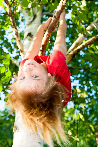Criança pendurada na árvore — Fotografia de Stock