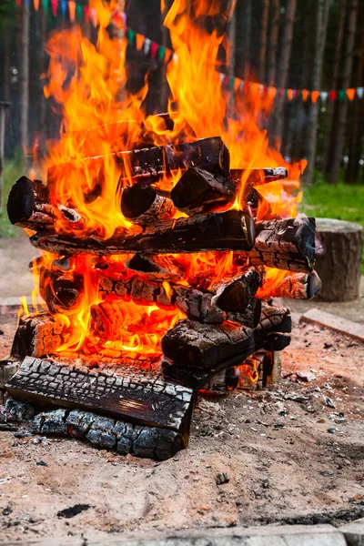 Burning Campfire — Stock Photo, Image