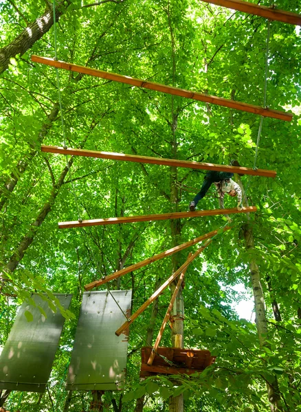 Enfant dans un parc d'aventure au sommet des arbres — Photo