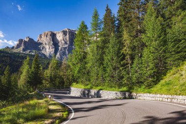 Dolomites, Güney Tyrol 'deki köknar ormanı (Sudtirol, Alto Adige) boyunca uzanan manzara yolu, arka planda Sella grubundan oluşan yüksek kaya duvarıyla birlikte