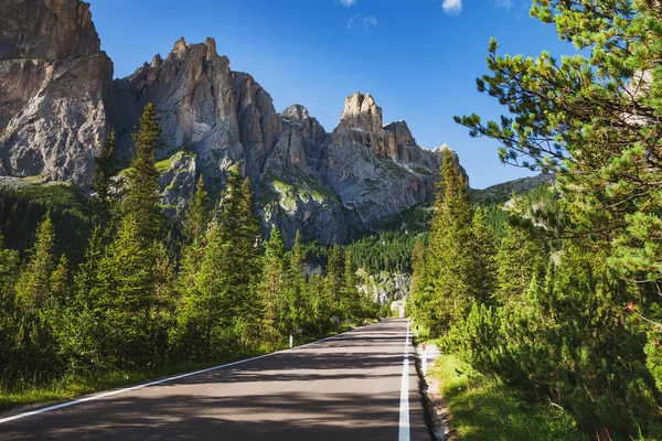 Route Panoramique Travers Forêt Sapins Dans Nord Italie Avec Les — Photo