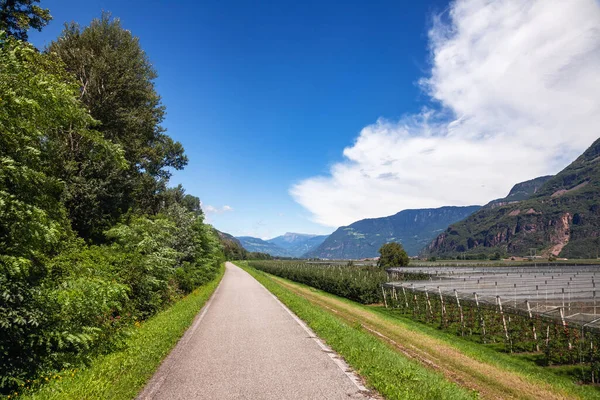 Cyklistická Trasa Podél Jablečného Sad Jižním Tyrolsku Severní Itálie — Stock fotografie