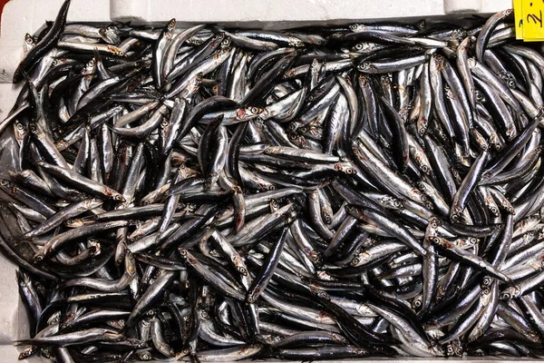 Fresh Anchovies Black Sea Karadeniz Hamsi Sale Fish Market Istanbul — Stock Photo, Image